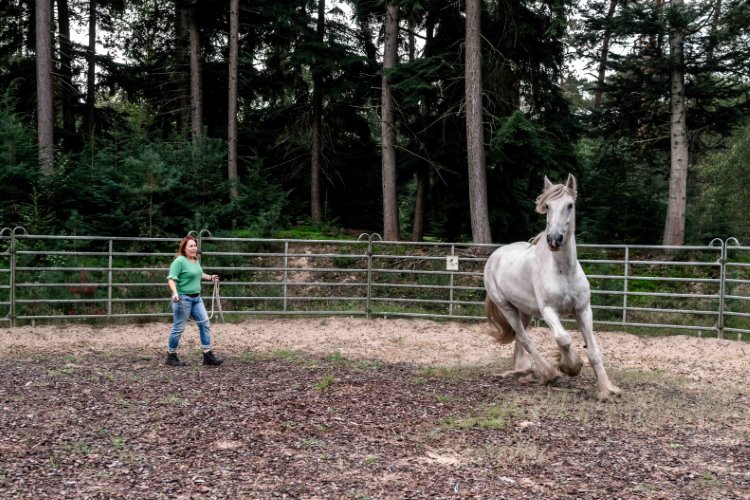 Monique klein formaat-175