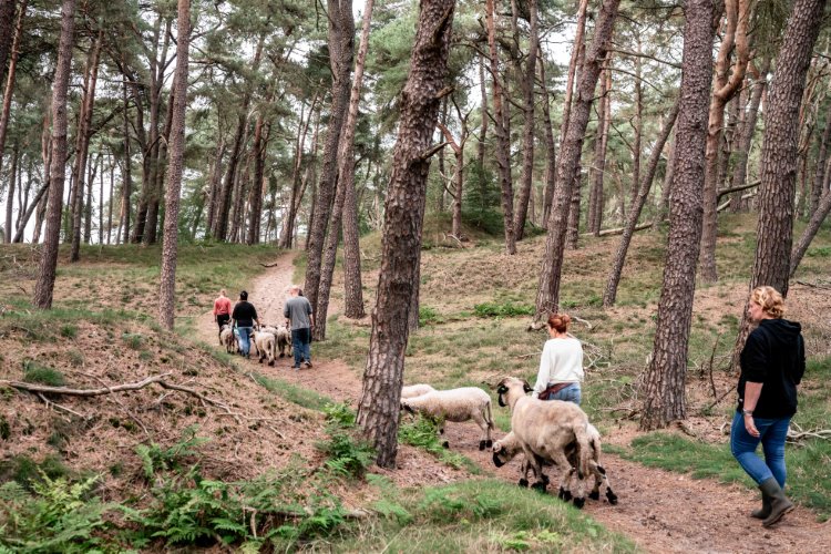 Monique klein formaat-326