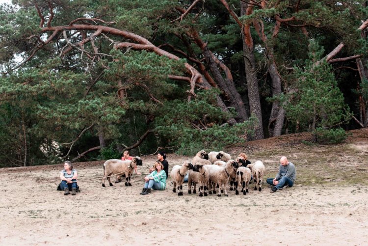 Monique klein formaat-347