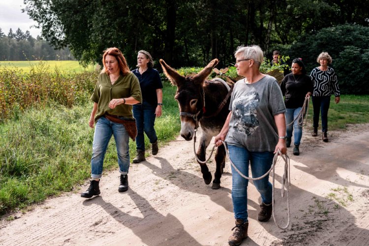 Monique klein formaat-60